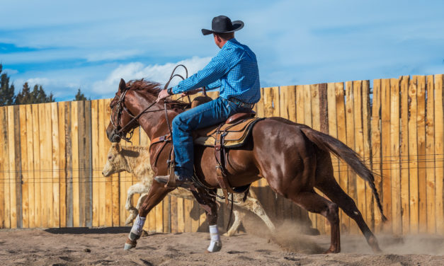 the Crafting of — From COMBAT Boots to COWBOY Boots